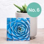 Nifty Fridge Art – Succulent Collection (Square Magnets) - Succulent No. 6