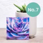 Nifty Fridge Art – Succulent Collection (Square Magnets) - Succulent No. 7