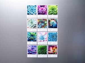 Succulent Collection Calendar 2026