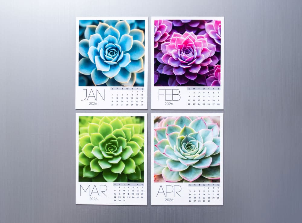 Succulent Collection Calendar 2026 - Image 2