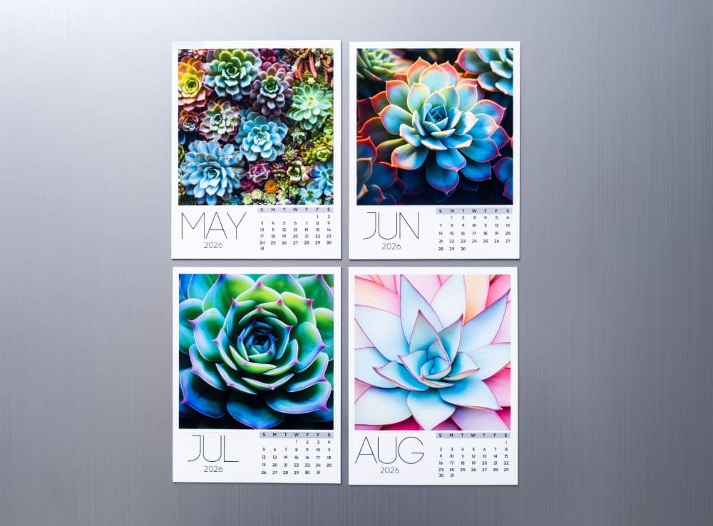Succulent Collection Calendar 2026 - Image 3