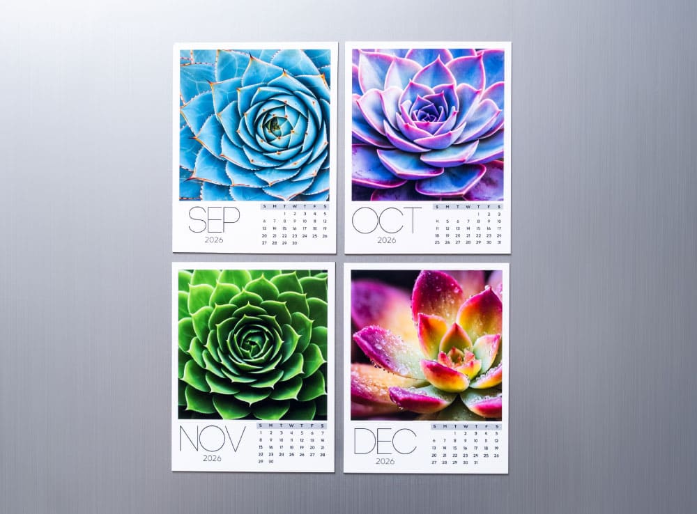 Succulent Collection Calendar 2026 - Image 4