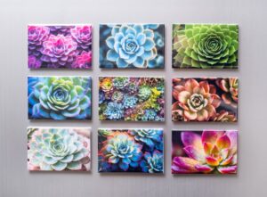 Nifty Fridge Art – Succulent Collection (Rectangular Magnets)