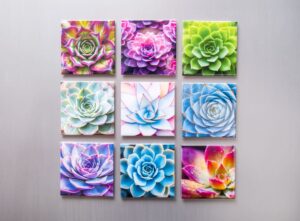 Nifty Fridge Art – Succulent Collection (Square Magnets)