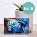 Nifty Fridge Art – Succulent Collection (Rectangular Magnets) - Succulent No. 8
