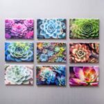 Nifty Fridge Art – Succulent Collection (Rectangular Magnets) - Full Set (9 Magnets)