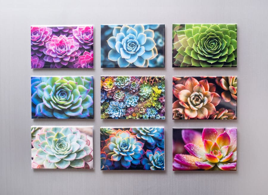 nifty art collection fridge magnets