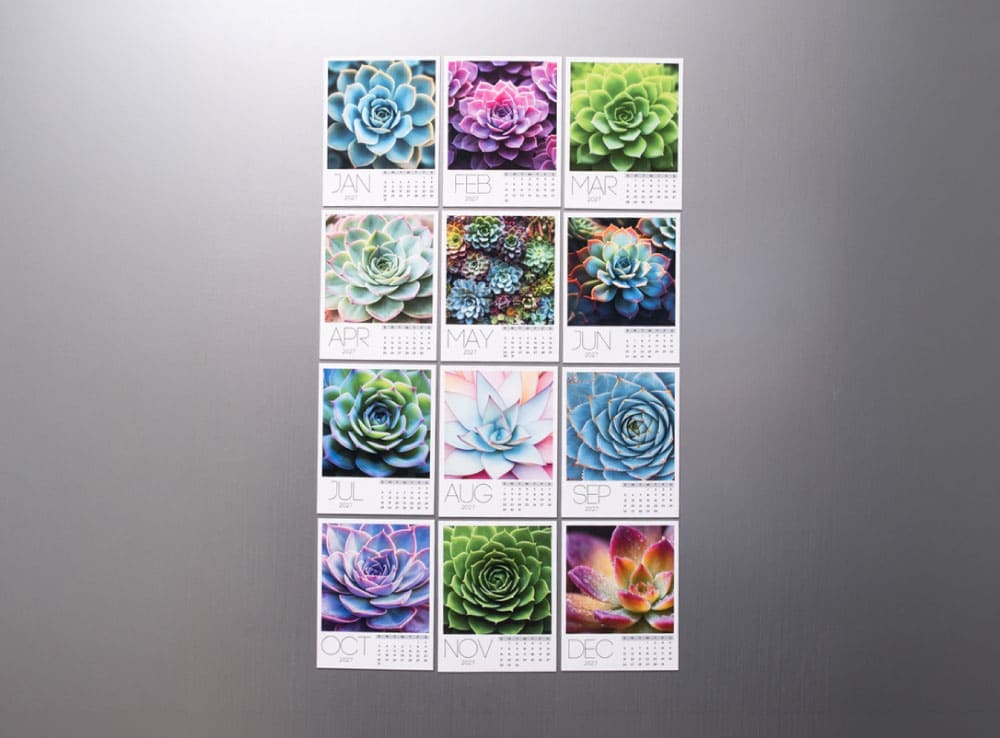 Succulent Collection Calendar 2027