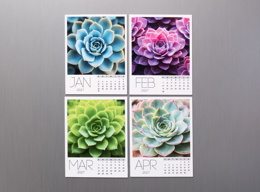 Succulent Collection Calendar 2027 - Image 2