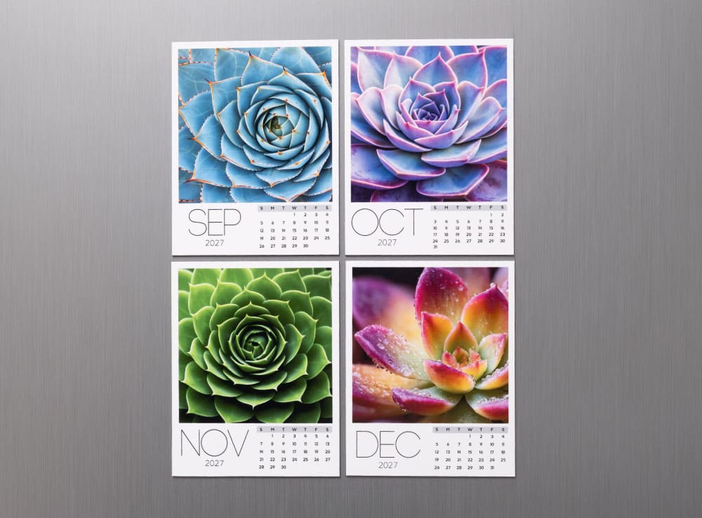 Succulent Collection Calendar 2027 - Image 4